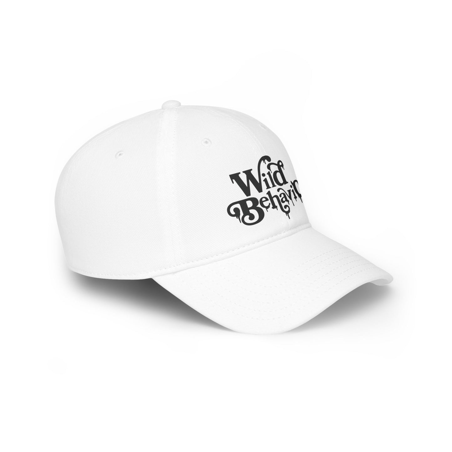 Low Profile Baseball Cap